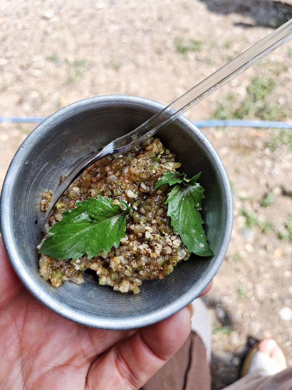 جوکول؛ آیین زنانه‌ی شالیکاری در گیلان